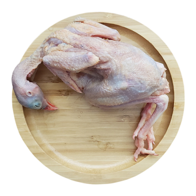 鹧鸪鲜活顺丰多省两重单只白条包装鸟石真空包其它生肉制品