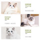 Kuanfu cat food adult cat kittens fattening hair gills deep sea salmon 2kg 4 kg US short British short blue cat special staple food Kuanfu cat food adult cat kittens fattening hair gills deep sea salmon 2kg 4 kg US short British short blue cat special staple food