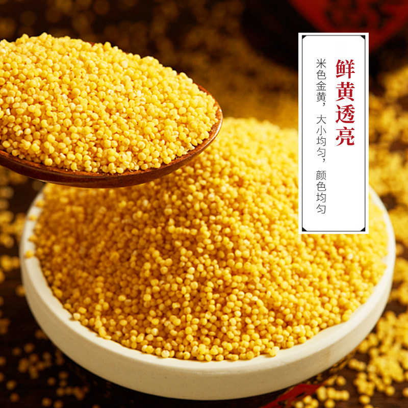 小米张杂谷13号黄小米新米月子米小米粥山西贡米小米