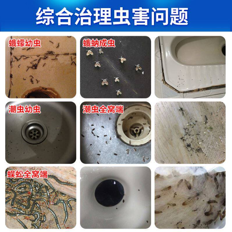 去除下水道小飞虫卫生间杀小黑虫飞蛾家里小飞虫灭杀神器蛾蠓克星