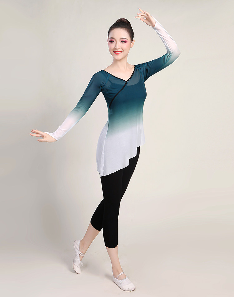 舞蹈古典服女形体网纱练功上衣身韵练习弹力民族服装