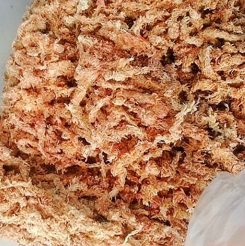 食虫植物专用植料基质营养土智利进口水苔干苔藓多肉蝴蝶兰花包邮