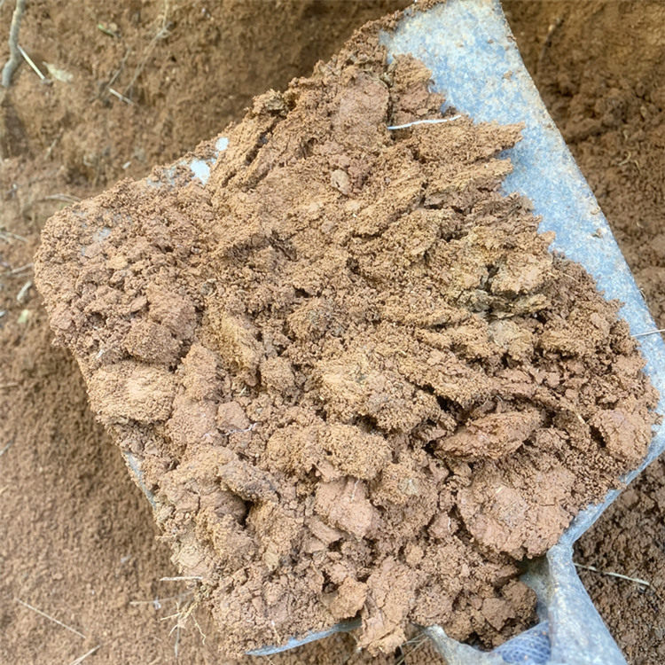 天然黄土土无颗粒土壤种植养花原料泥巴黄泥巴介质