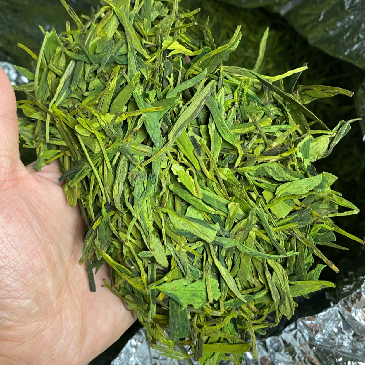 浙江口粮茶龙新茶龙2021年茶叶松阳压扁250g半斤其它绿茶
