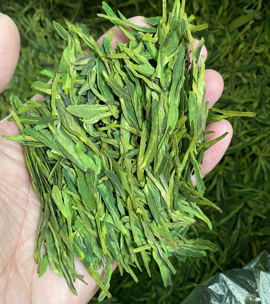 松阳白茶绿茶浓香香型2022年新茶半斤250g茶叶其它绿茶