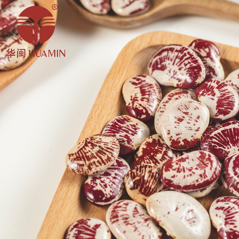 【2件包邮】华闽小杂粮 荷包豆 香菇豆 花豆农家新货五谷粗粮500g