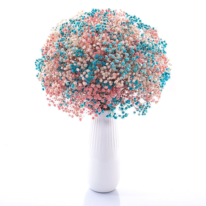 大束满天星干花花束真花自然自然风风干鲜花花瓶干花