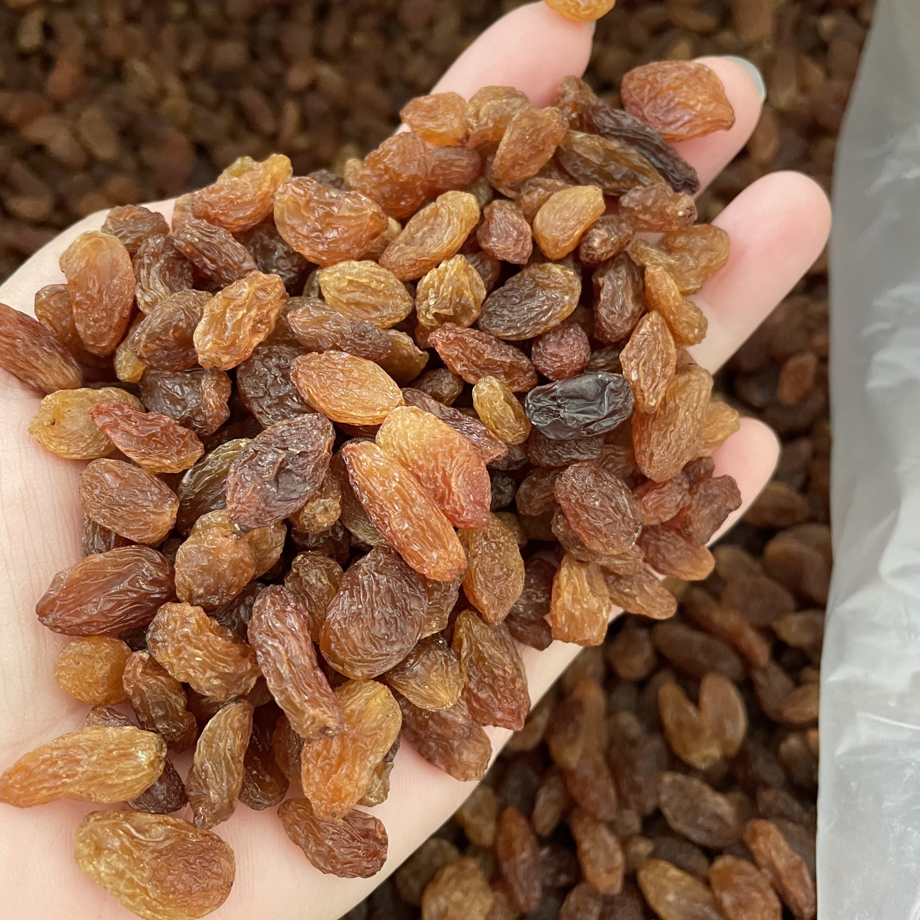 烘焙原料葡萄干顶兴兴红提干提子500g称重新疆葡萄干