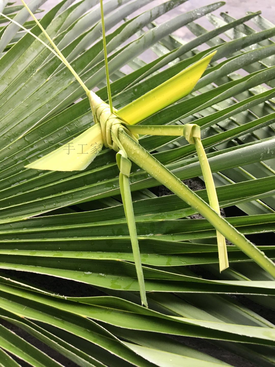 棕编工艺品草编动物手工艺粽叶编织新鲜竹编