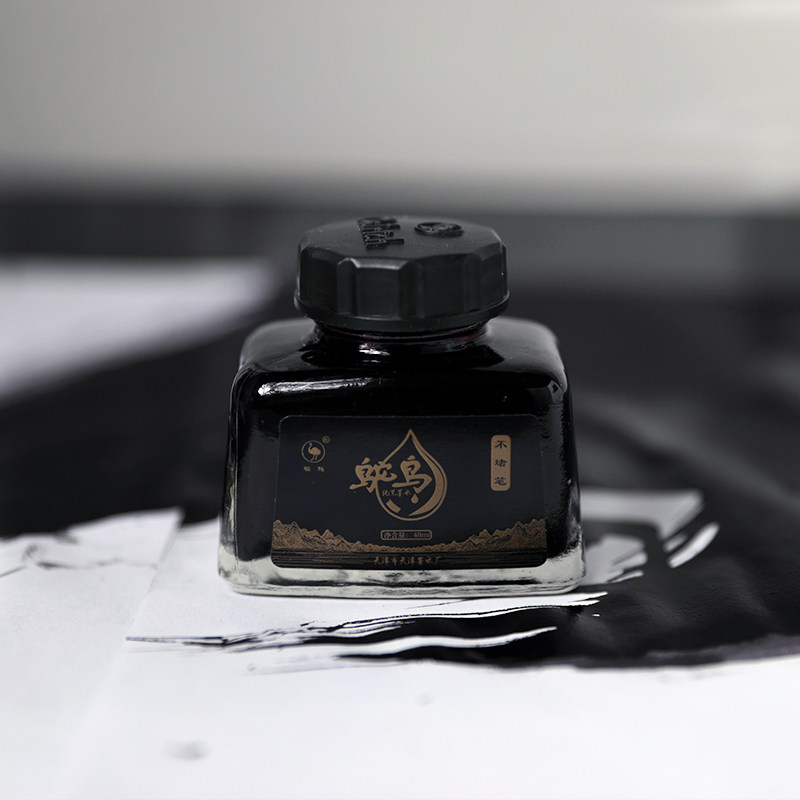 实惠老牌推荐便宜大碗48ml碳素鸵鸟钢笔墨水笔用墨水