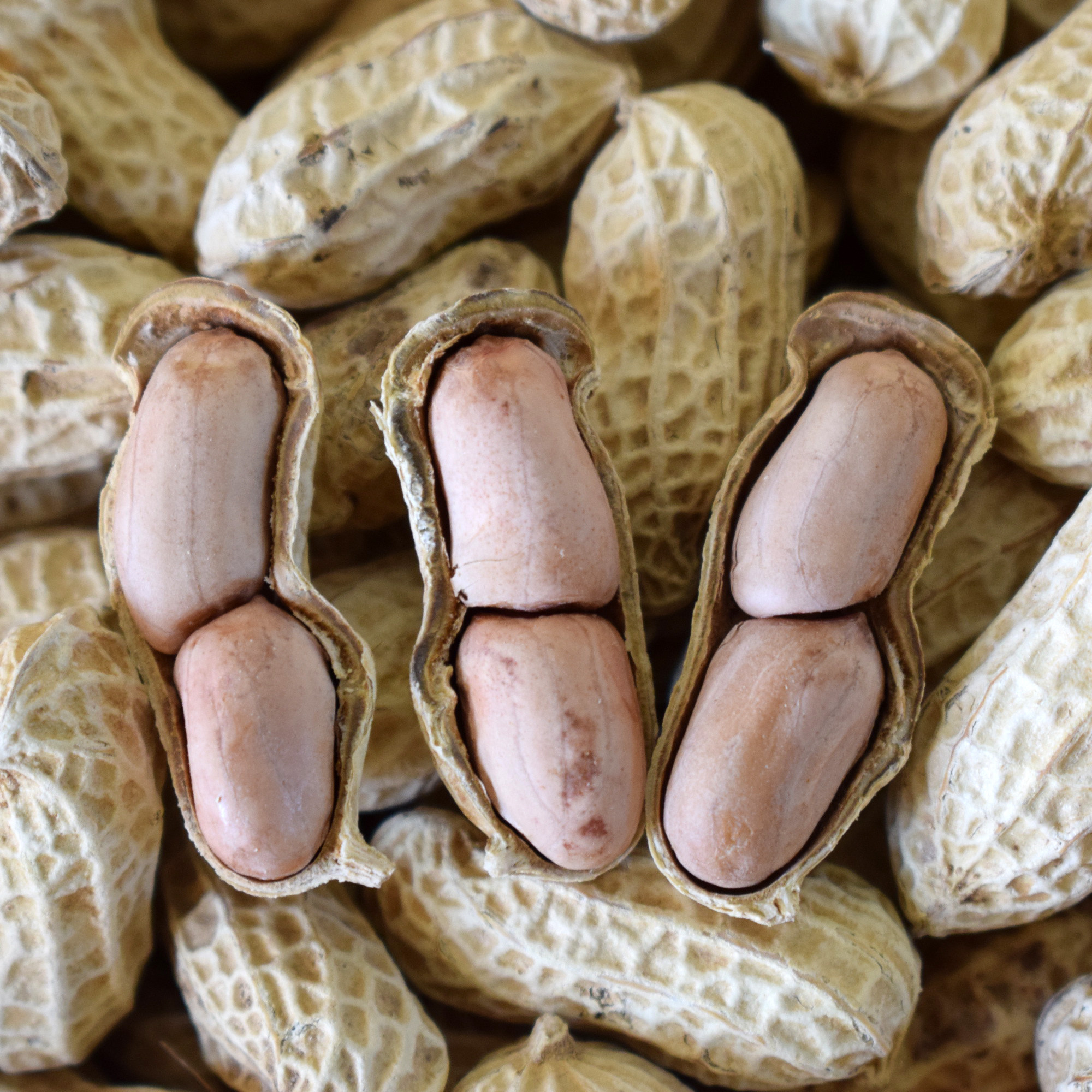 花生冠华白玉咸干750克休闲零食水煮炒货特产花生