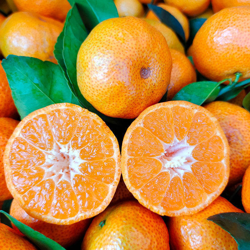 新鲜广西砂糖橘沙糖桔无核桔子一级果大果510斤带箱包邮孕妇水果