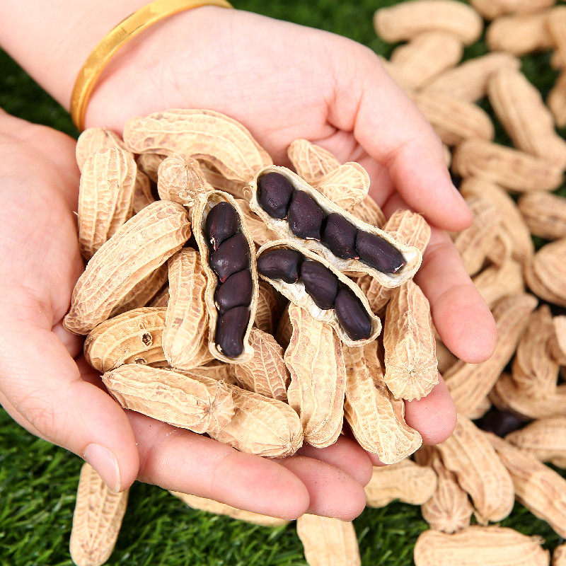 花生2021年新货云南黑花带壳水果品种散装5斤花生