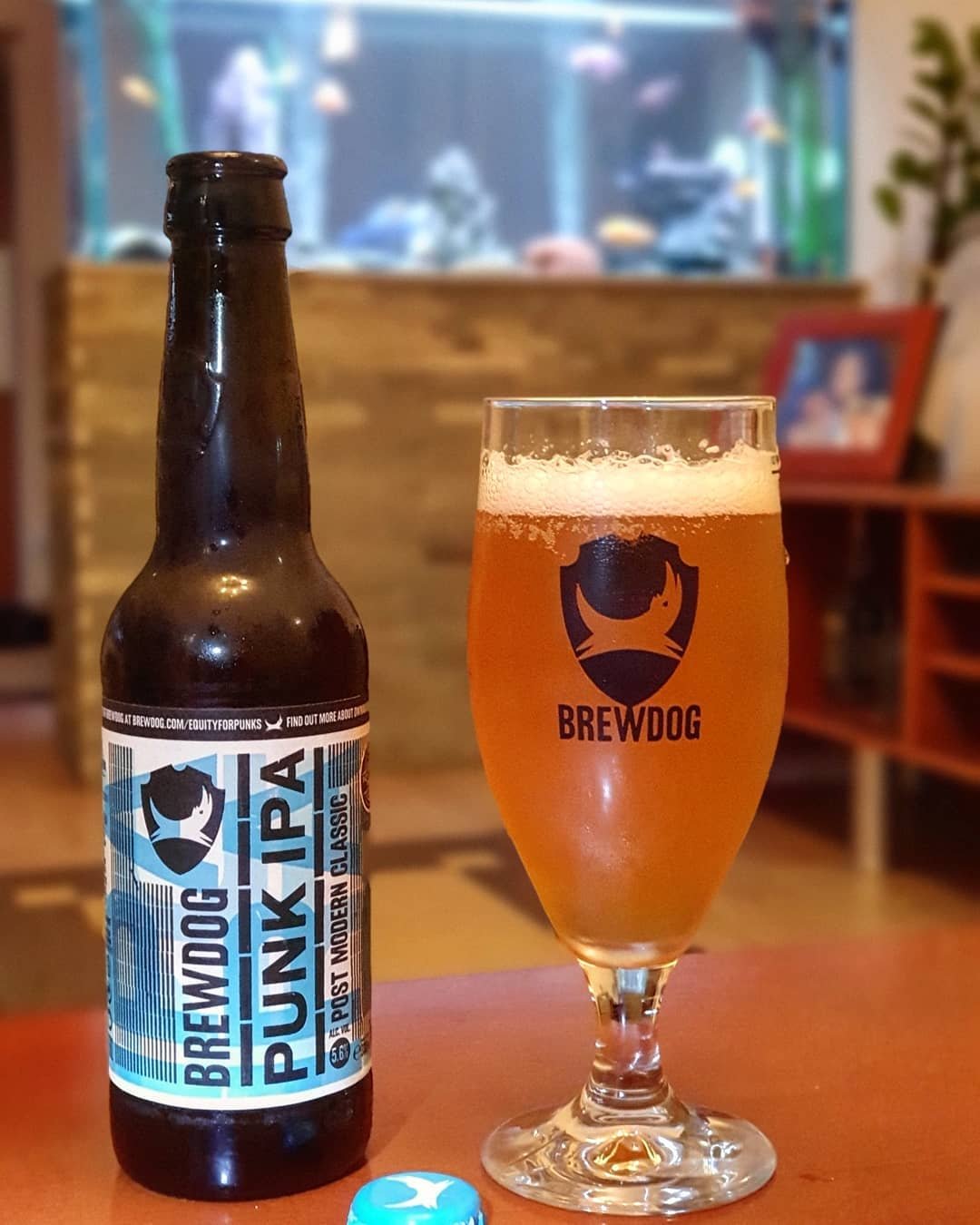 英国进口啤酒酿酒brewdog朋克ipa6瓶啤酒