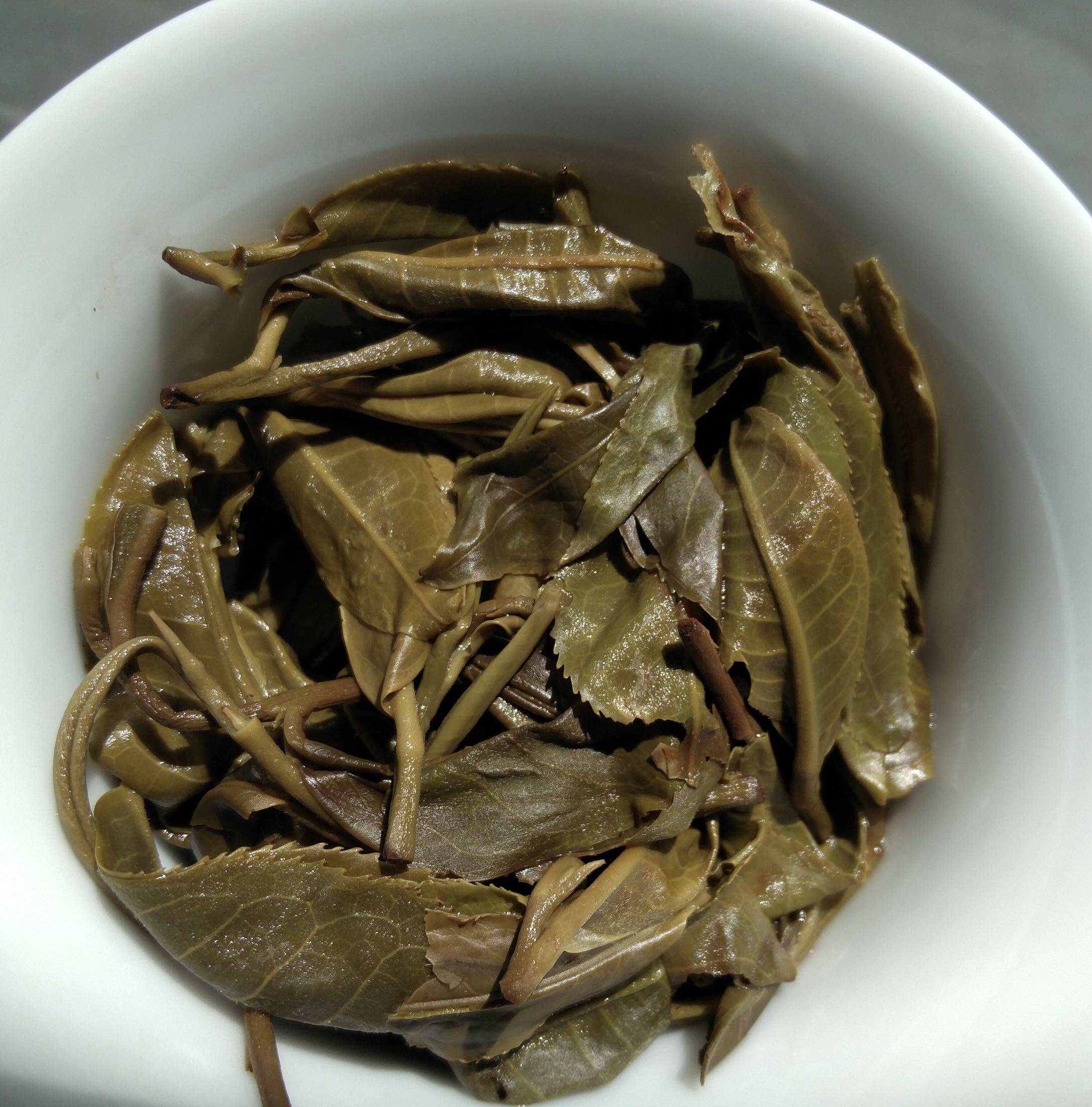茶气大户赛普普洱茶霸道香浓强劲苦味重入入口茶叶包装