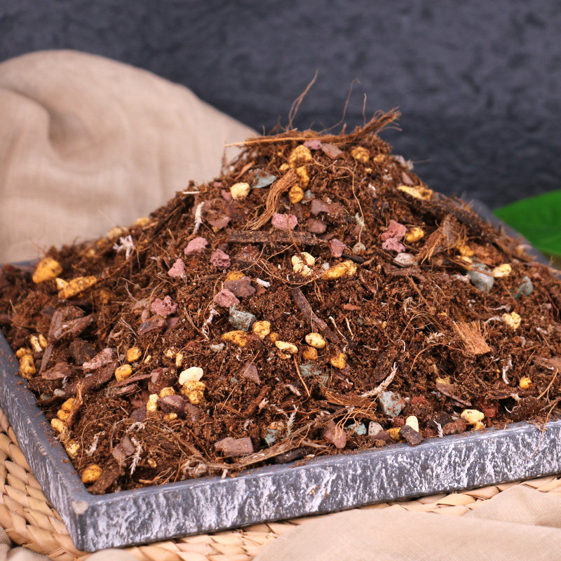 惠立君子兰土专用土兰花专用植料营养土疏松透气家用养花土通用型