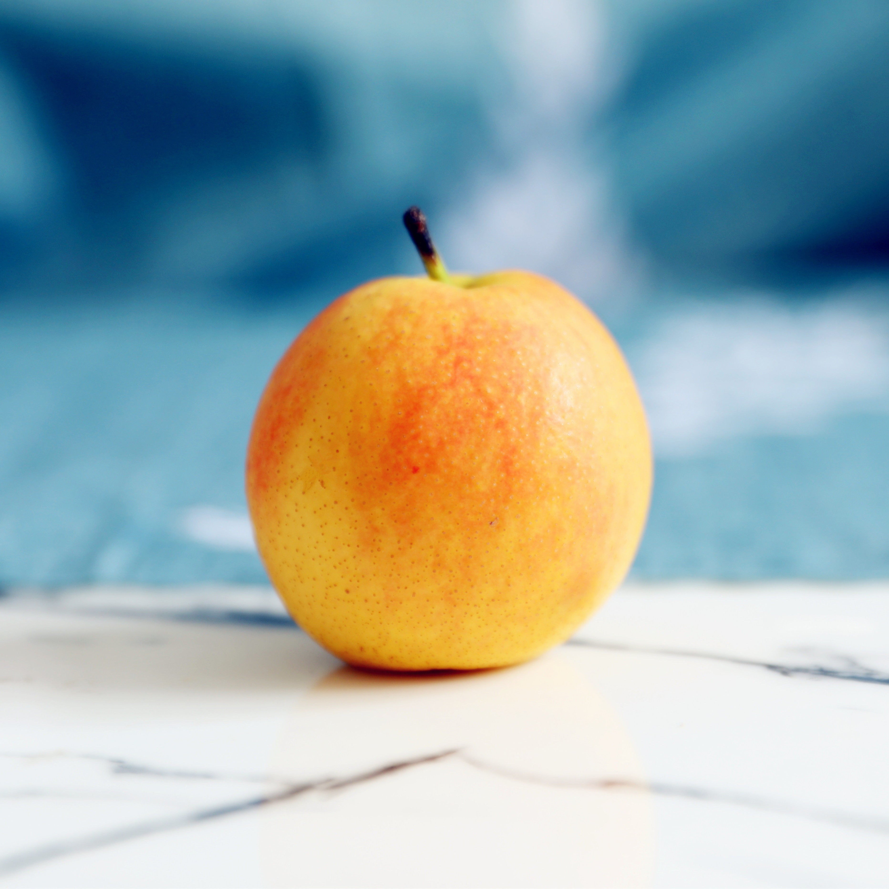 特产南果鞍山新鲜水果当季现摘东北南国鲜果梨