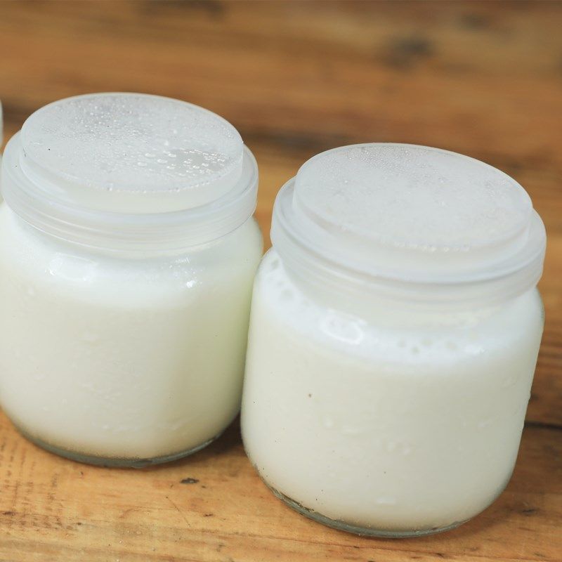 酸奶城步手工南山纯正原味羊奶添加低温100ml酸奶