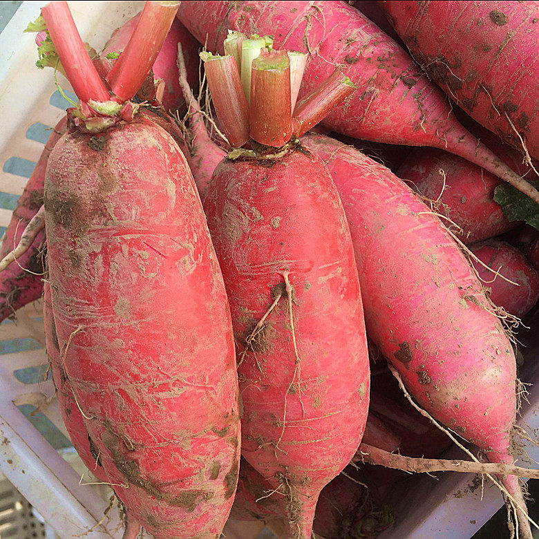 萝卜现挖新鲜红皮白肉泡菜5斤8.8元萝卜