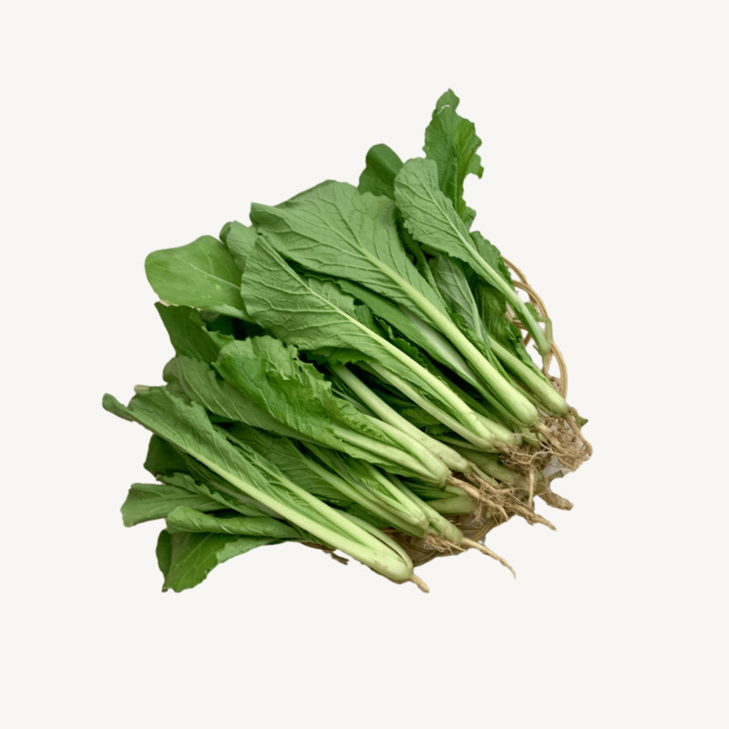 顺丰小白菜新鲜毛白菜5斤当季蔬菜油白菜青菜白菜秧产地直销