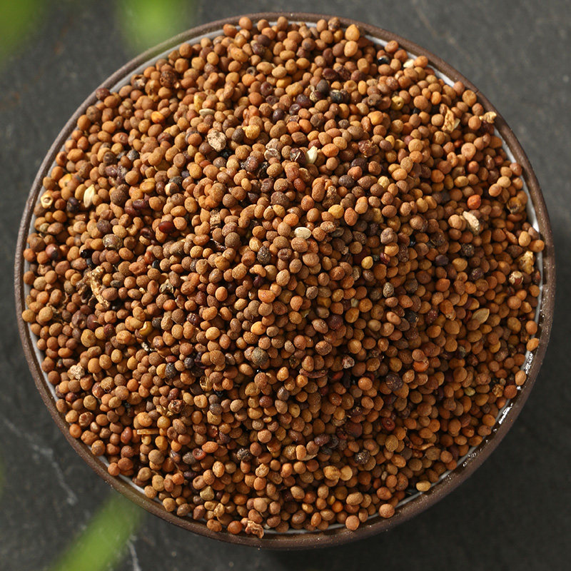 菟丝子 水洗菟丝子 兔丝籽可配锁阳韭菜籽250克包邮