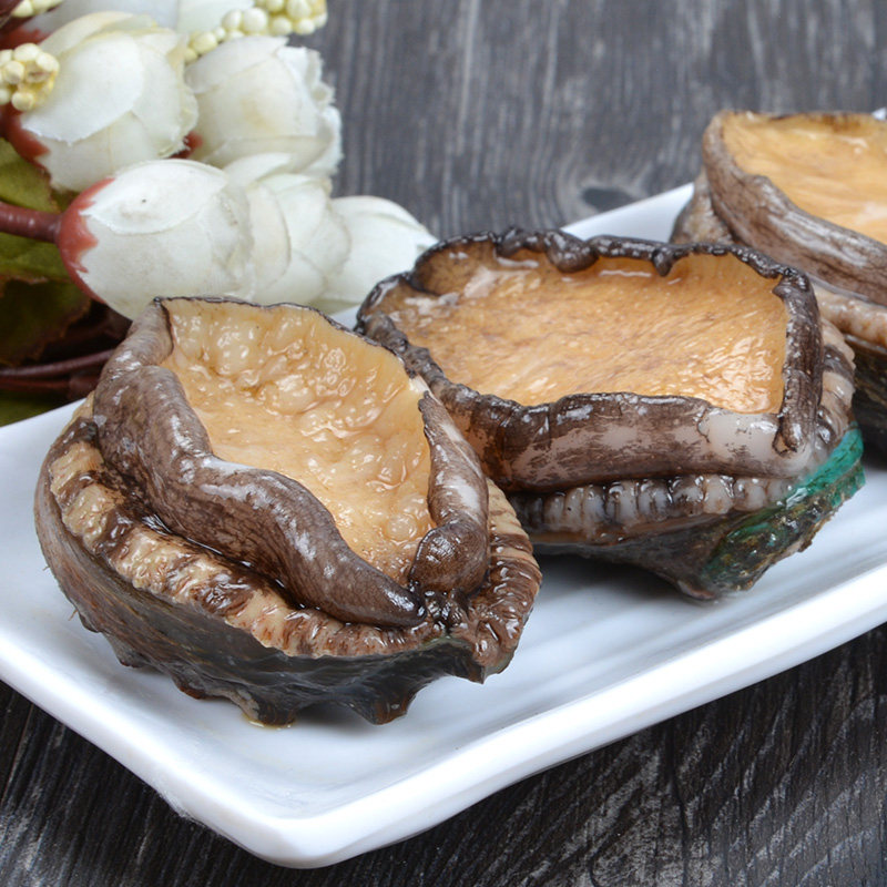 天香罗新鲜海捕鲍鱼鲜活大个海鲜水产大鲍鱼8-12只500g包邮活