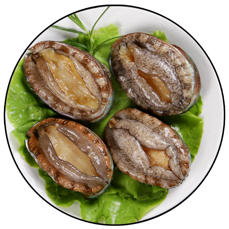 新鲜鲍鱼海鲜水产迷你青岛生鲜贝类1斤2030头鲍鱼