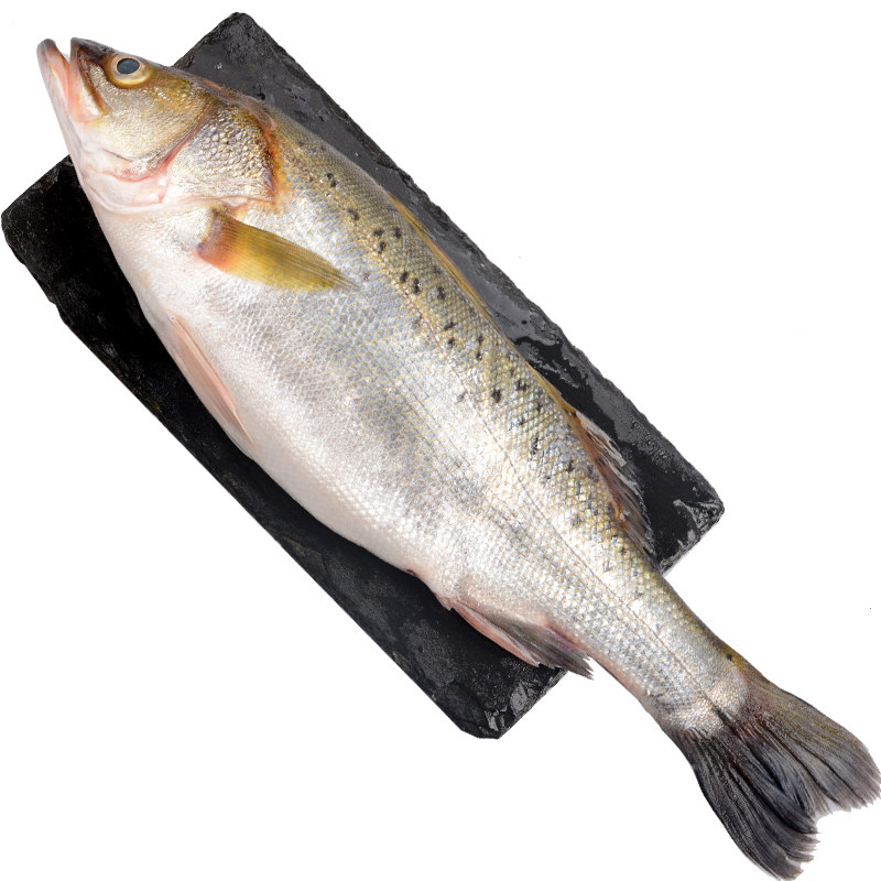 鲈鱼深海鲜冻海鱼新鲜冰冻2斤1条海鲜水产淡水鱼类