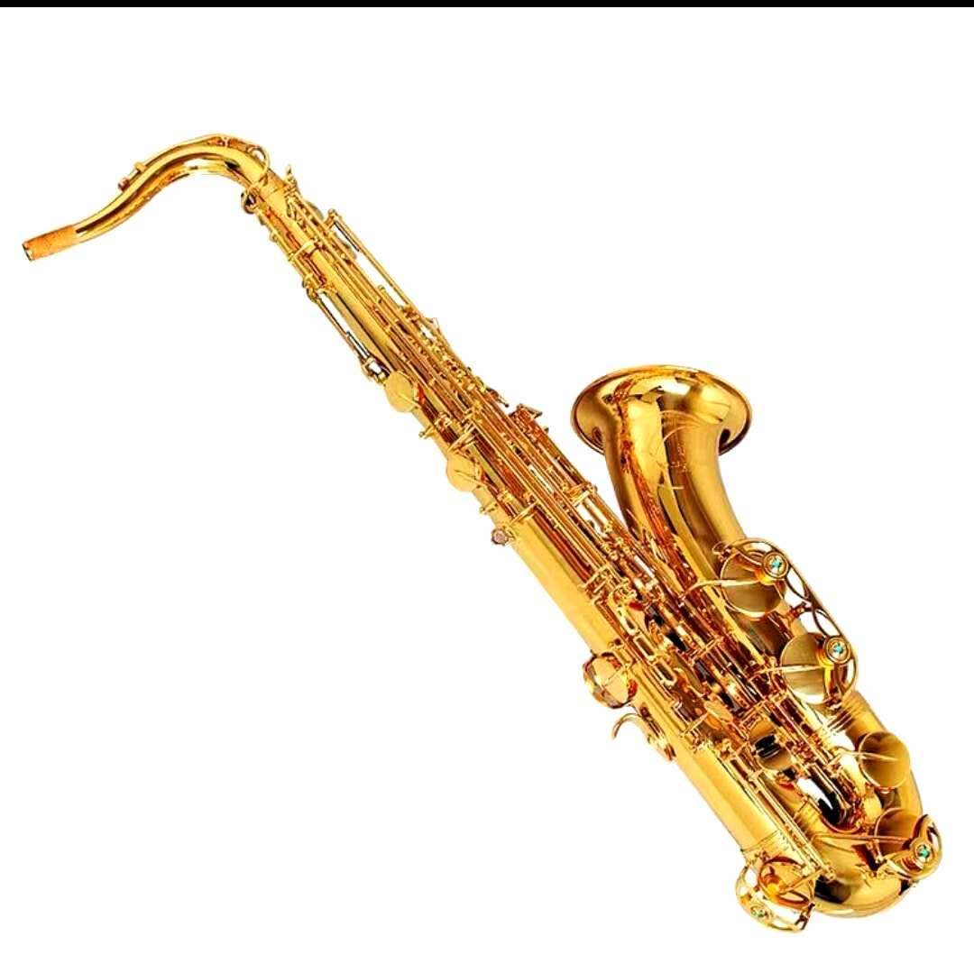 雅马哈磷铜次中音萨克斯yts-875ex喇叭双筋加固初学考级萨克斯风