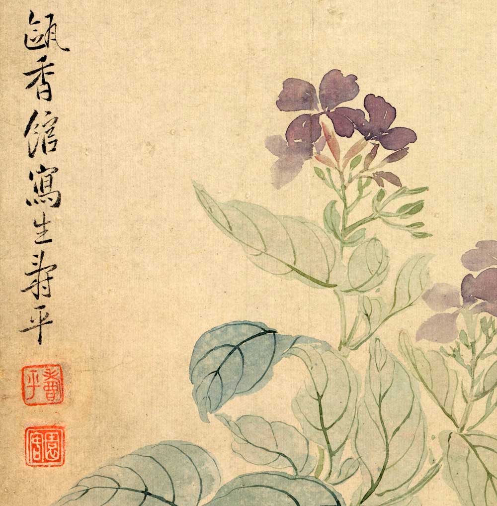 清代 恽寿平 折枝图页 仿古名家 国画花鸟小品 28x40cm 册页