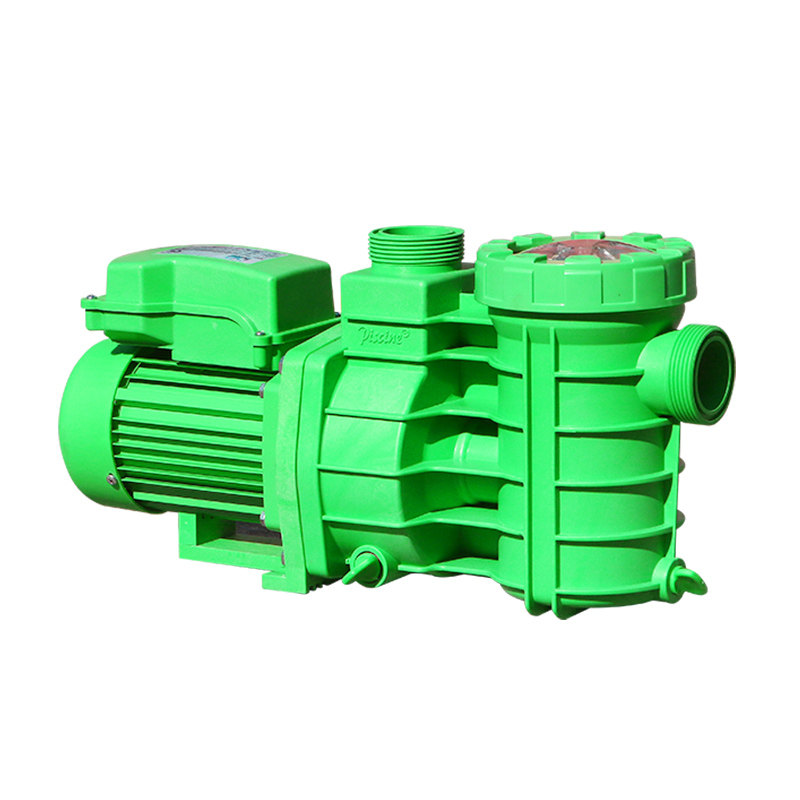 碧池游泳池循环水泵沙缸过滤泵自吸污泳池温泉泳池设备