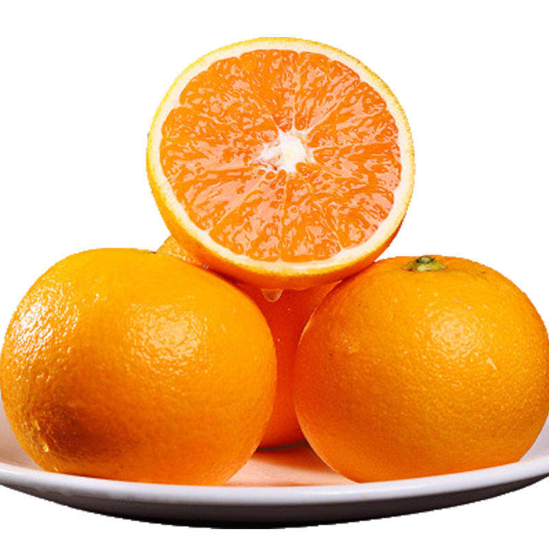 湖北秭归九月红脐橙现摘非赣南血橙子新鲜果冻橙孕妇水果当季10斤