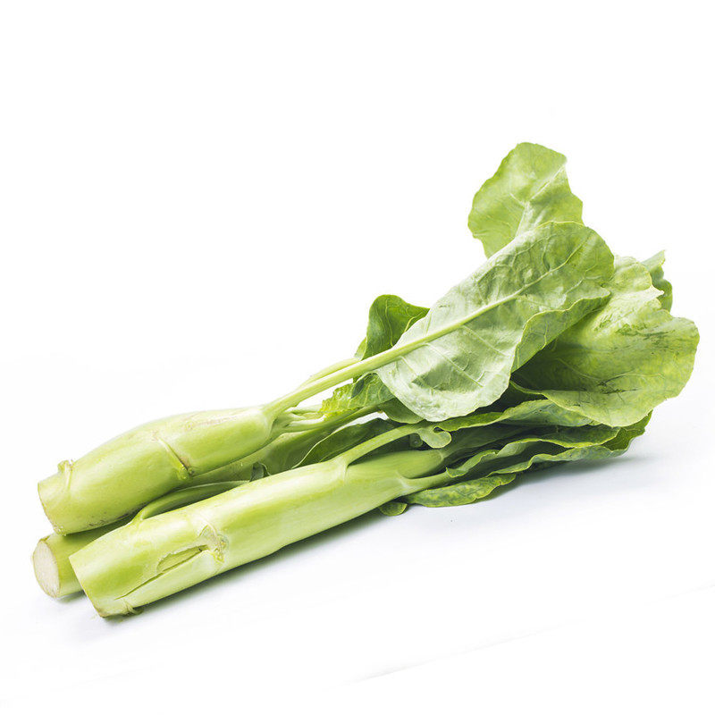 种子香港中花芥兰阳台大田春秋秋冬四季播种家庭园艺种子