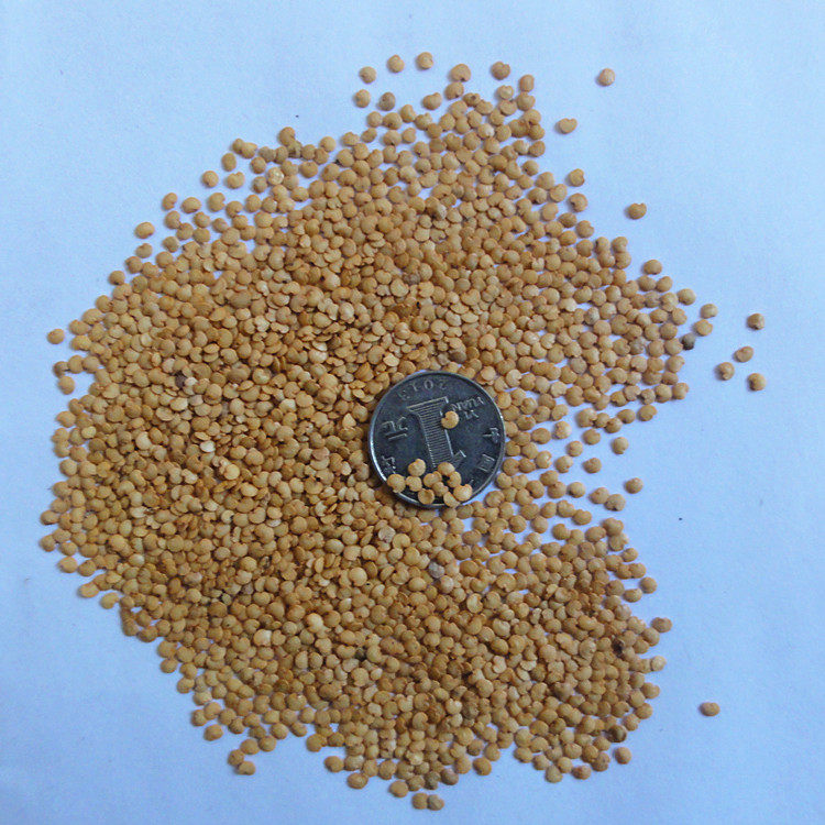 阳春三月茄子基地选用蔬菜种子春秋播种果蔬家庭园艺种子