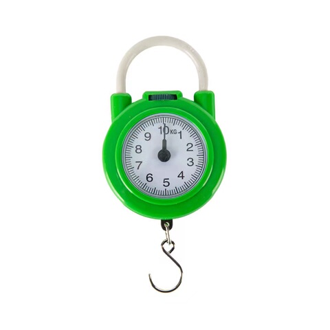 迷你称重手提秤便携式高精度家用快递称小秤弹簧秤学生教学机械秤