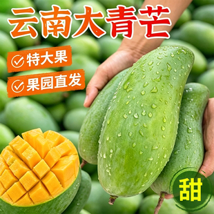 云南大青芒正宗新鲜青皮金煌甜心芒大果当季热带水果香蕉