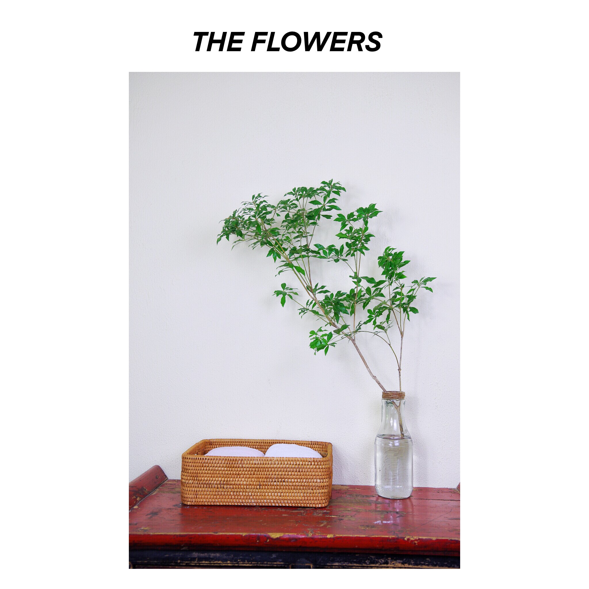 森系植物日本进口马醉木吊钟鲜切枝条鲜花速递(同城)