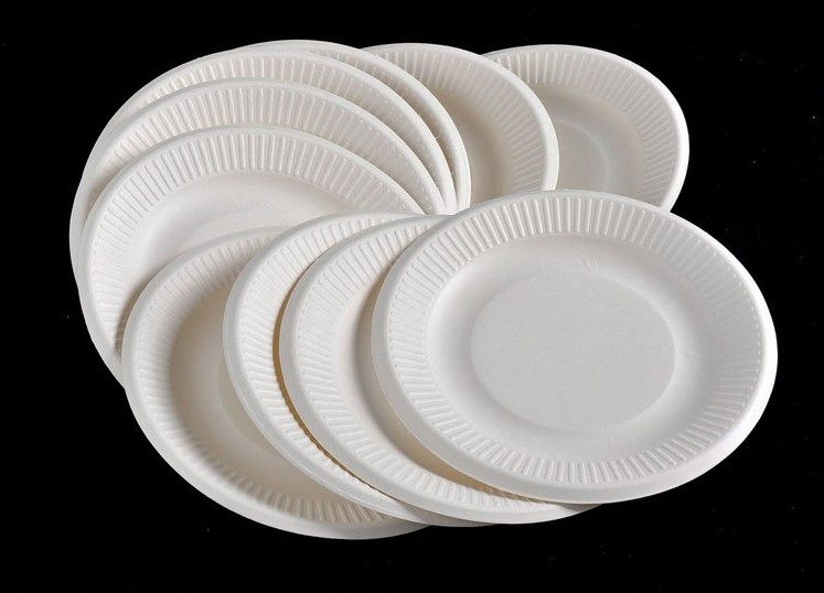 一次性快餐纸盘纸浆碟子纸叠盘子10寸圆盘十只一次性餐盒