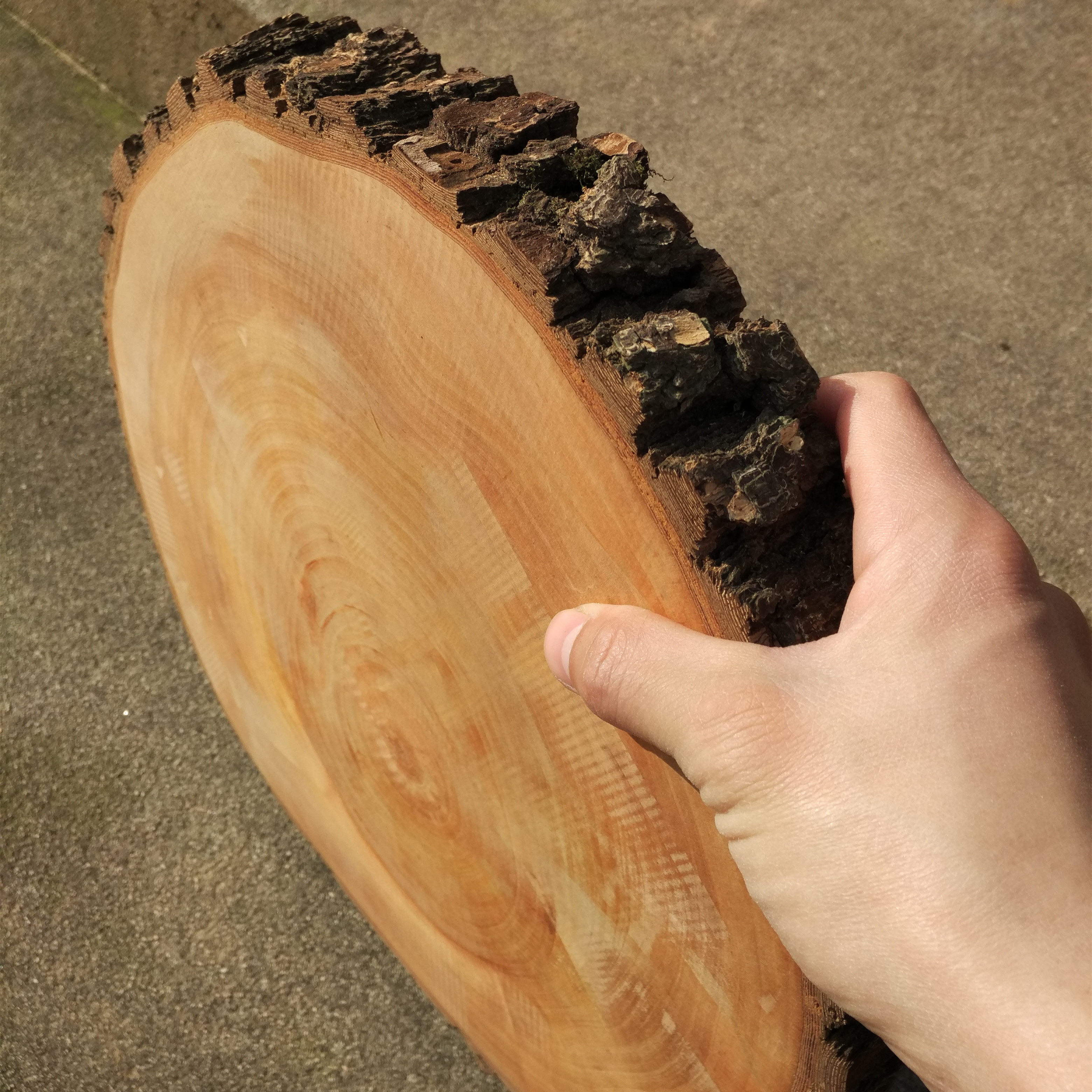 棠梨原木横切面雕刻diy藏书木版画实木壶垫碗垫木木雕