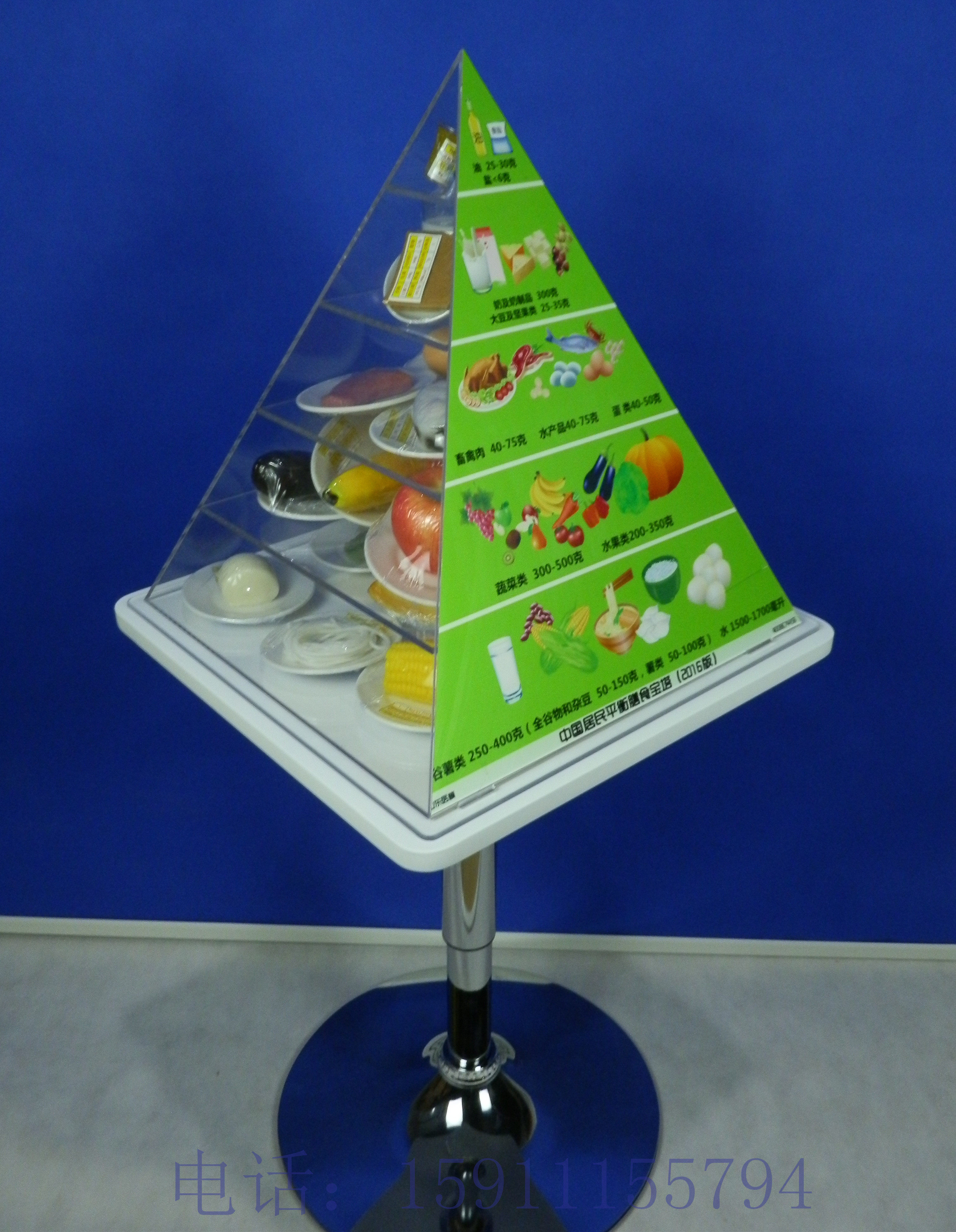 膳食宝塔食物2016版中国居民平衡金字塔营养模型仿真水果