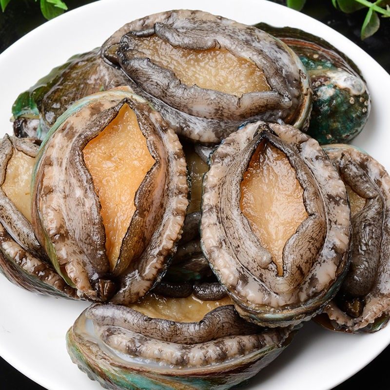 海鲜鲍鱼特大8头贝类水产活体野生新海鲜即食鲍鱼
