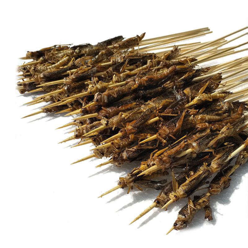 50串冬娜油炸蚂蚱烧烤食材蝗虫食用草蜢小串其它生肉制品