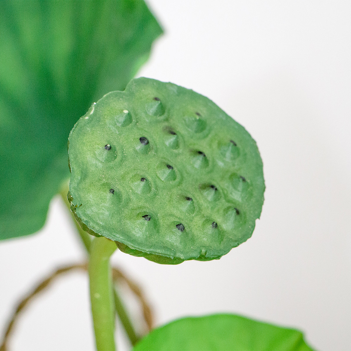 仿真过胶荷花假花仿真荷叶莲蓬单支水面长杆插花装饰影视拍摄道具