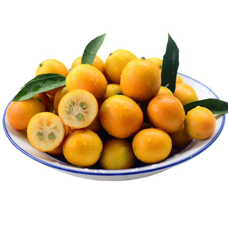 金桔广西小金新鲜黄皮5斤油皮小橘子孕妇水果桔子
