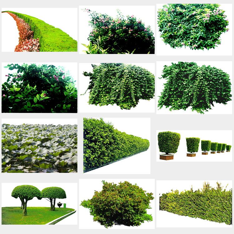 全球平面图库素材自然psd分层模型灌木草坪树丛树木小草层_双氙车灯改