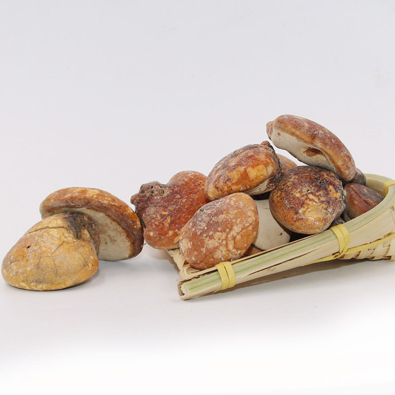 须元野生正品150克无根根须隐孔菌阳元果松橄榄其他药食同源食品