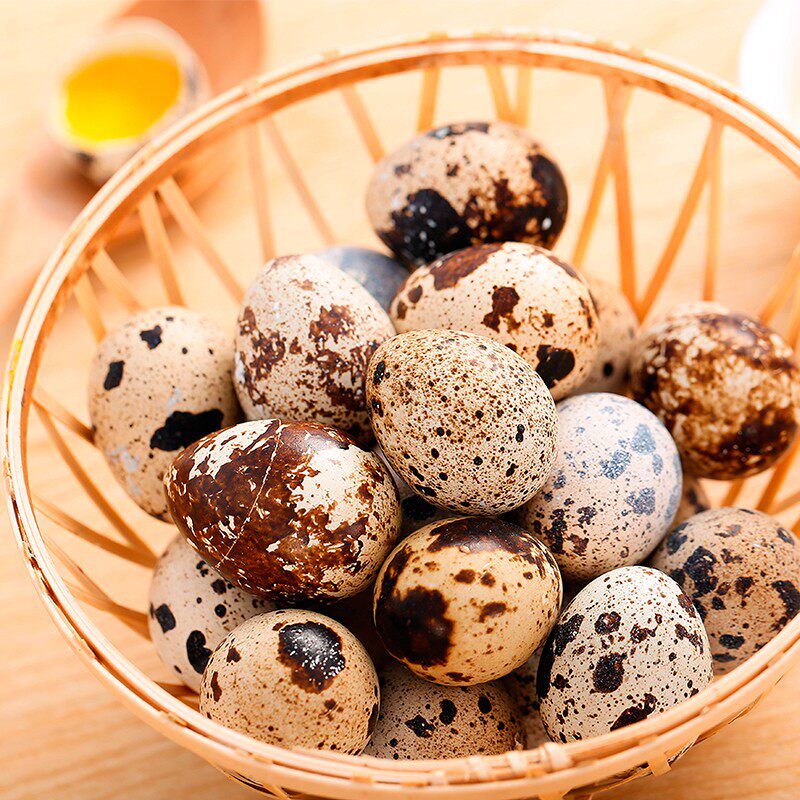 新鲜鹌鹑蛋105枚装农家散养生的鹌鹑蛋鸟蛋宝宝营养辅食破损包赔