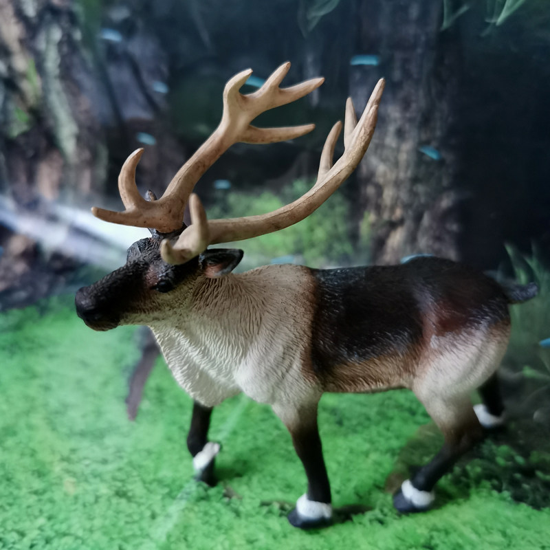 中性礼物小鹿玩具摆件美国safari正品丛林动物驯鹿仿真