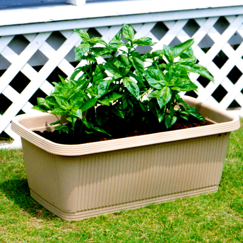 爱玛家居专营店:爱丽思阳台种菜盆爱丽丝种植箱塑料长方形大花盆700大