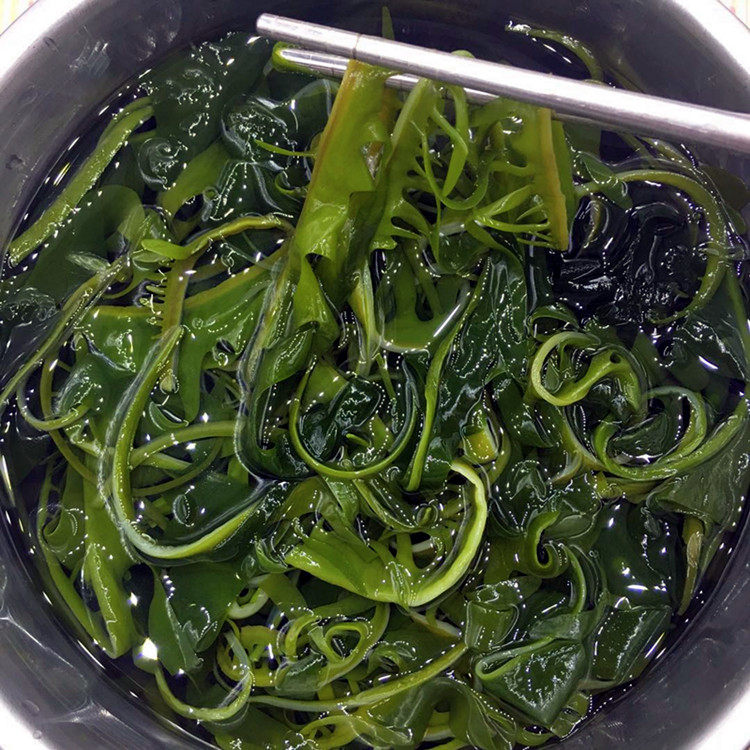 特级海芽菜裙带菜嫩芽睫毛菜眉芽菜火锅海带芽盐渍海带苗300g*3袋